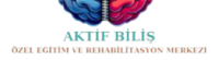 Aktif Biliş